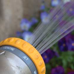 wisewatering2