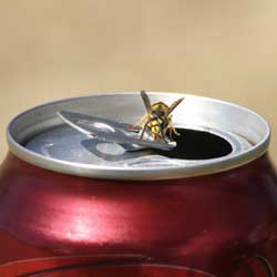 Yellowjackets: Good Guys or Bad?