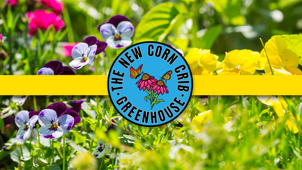 The New Corn Crib Greenhouse