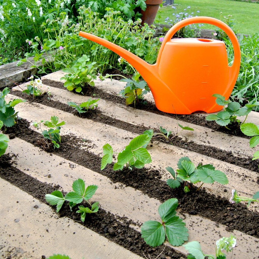 Pallet Gardening: Turning Trash into Treasure for Green Spaces
