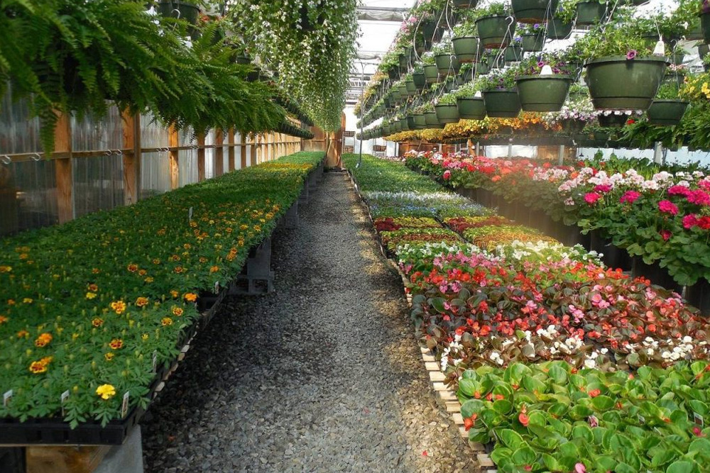 Corn Crib Annuals Selection