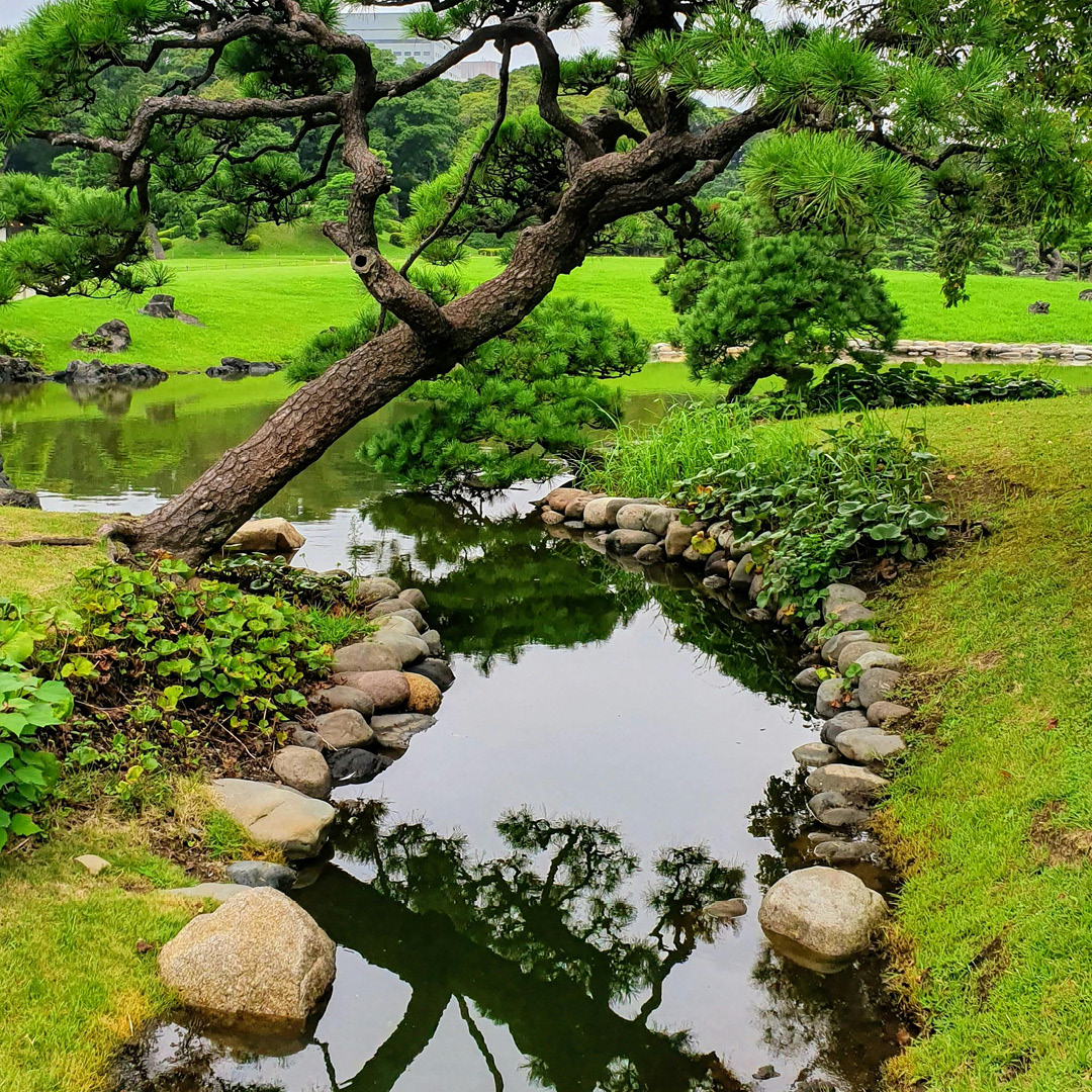Transform Your Outdoors with Stone Landscaping