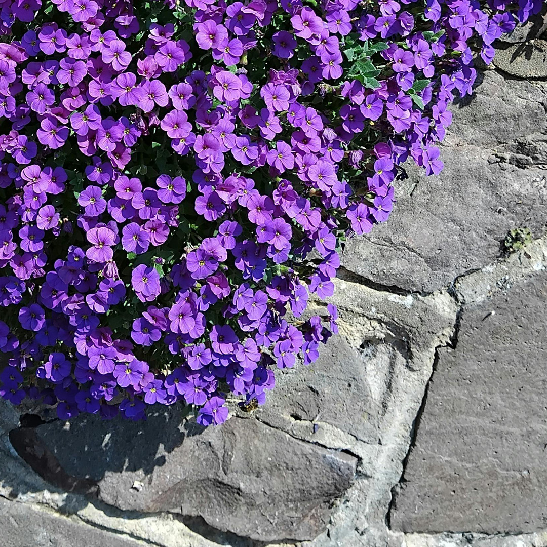 Transform your outdoors